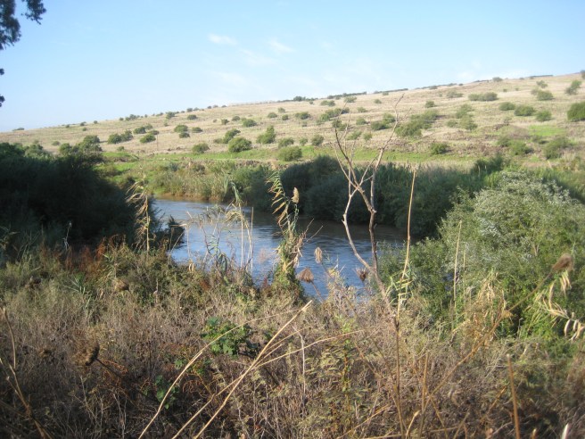 Jordan before flowing into Galilee