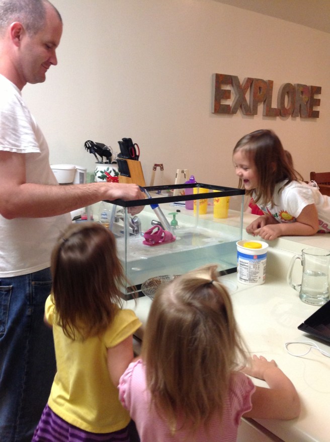 Cleaning out the fish tank? A perfect time to play sink or float! 