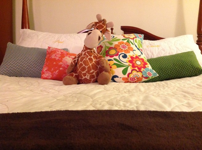 Mr. Giraffe! Paul bought him for me on the day we found out we were pregnant with Hope. It sort of looks like a pregnant giraffe. Still can't figure out why I call him Mister. 