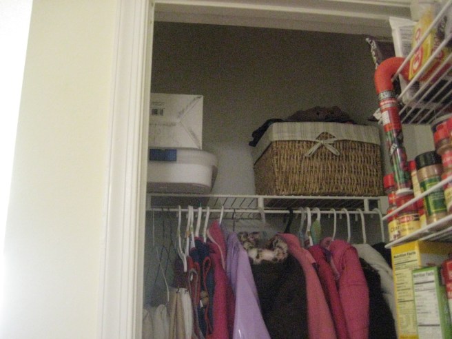 half closet, half pantry