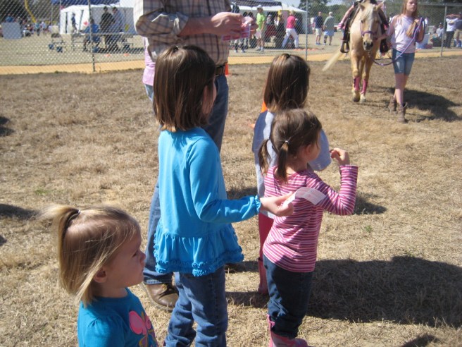 Waiting for the beloved horsies.