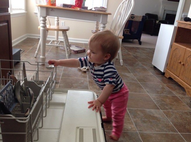 My new dishwasher assistant.