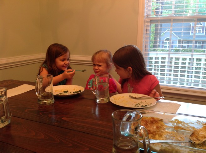 Not sure why I thought a shot of big sister trying to help little sister eat her spinach was appropriate here, but there you go.